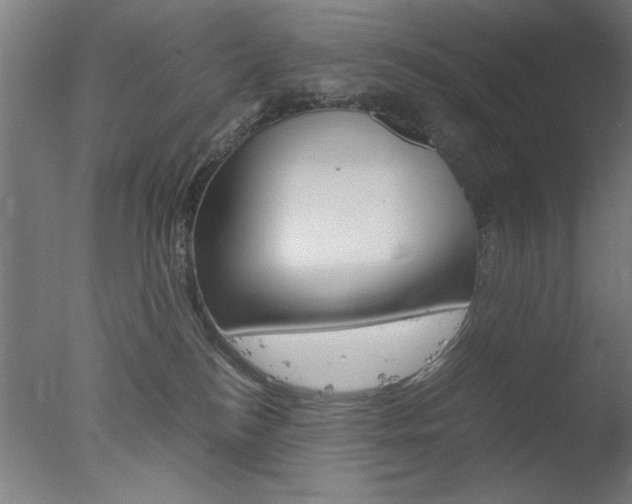 X0000077990184200610270956