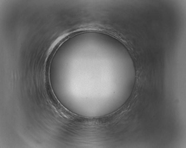 X0000077990200200610270955