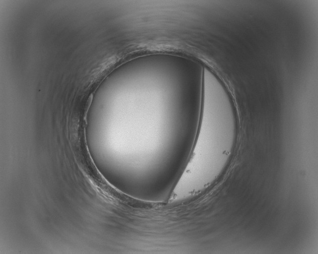 X0000077990201200610270955