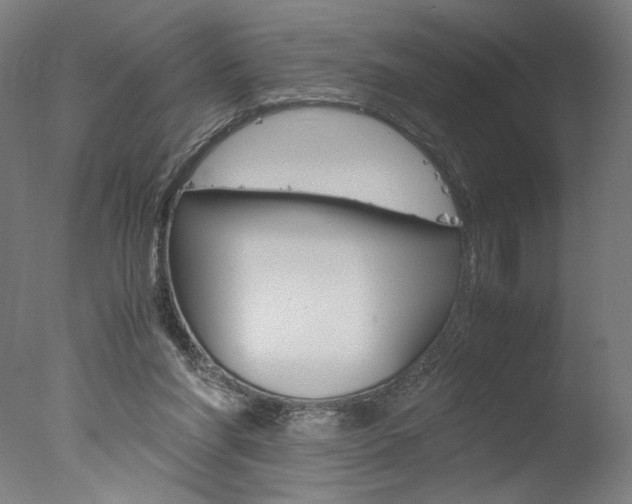 X0000077990206200610270955