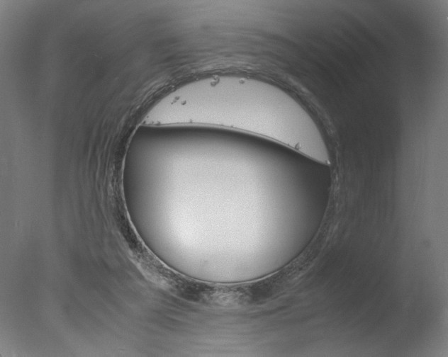 X0000077990209200610270955