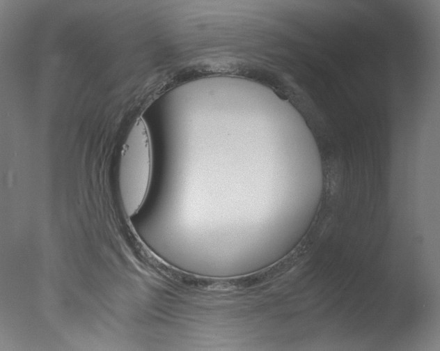 X0000077990213200610270955