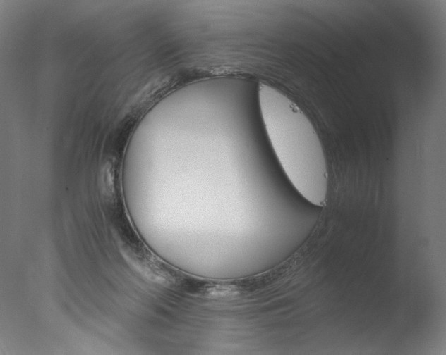 X0000077990214200610270955