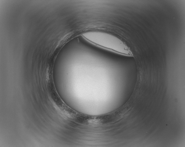 X0000077990216200610270955