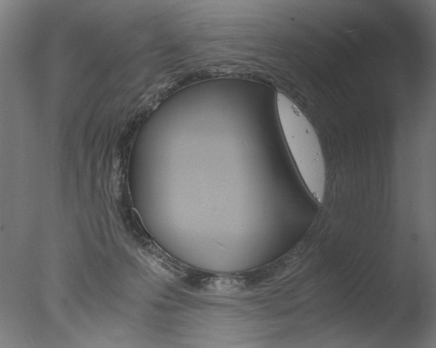 X0000077990223200610270955