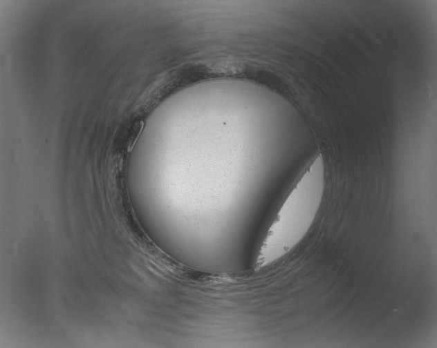 X0000077990229200610270955