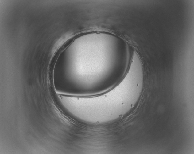 X0000077990248200610270954
