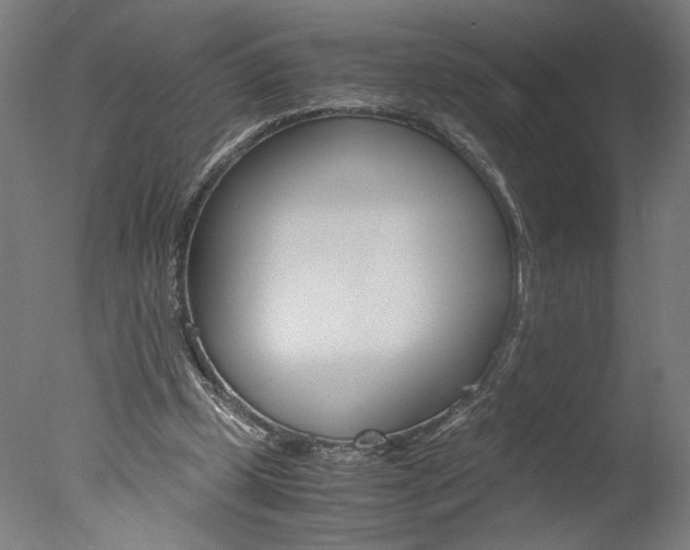 X0000077990249200610270954