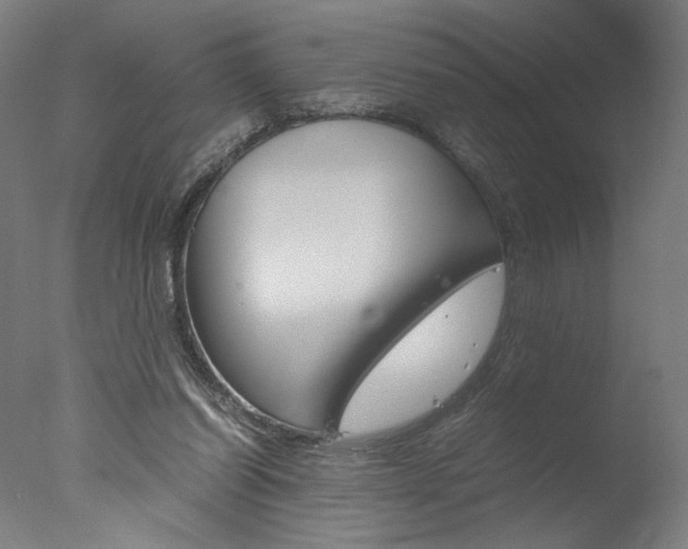 X0000077990254200610270954