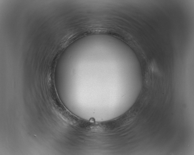 X0000077990259200610270954