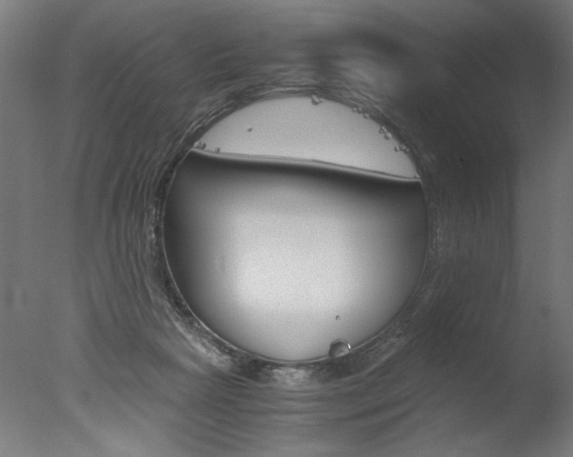 X0000077990265200610270954