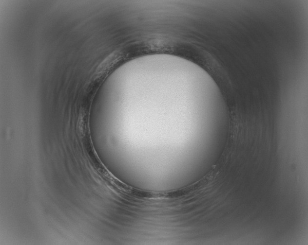 X0000077990266200610270954