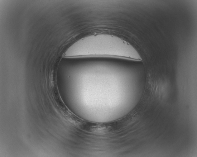 X0000077990267200610270954