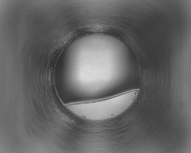 X0000077990268200610270954
