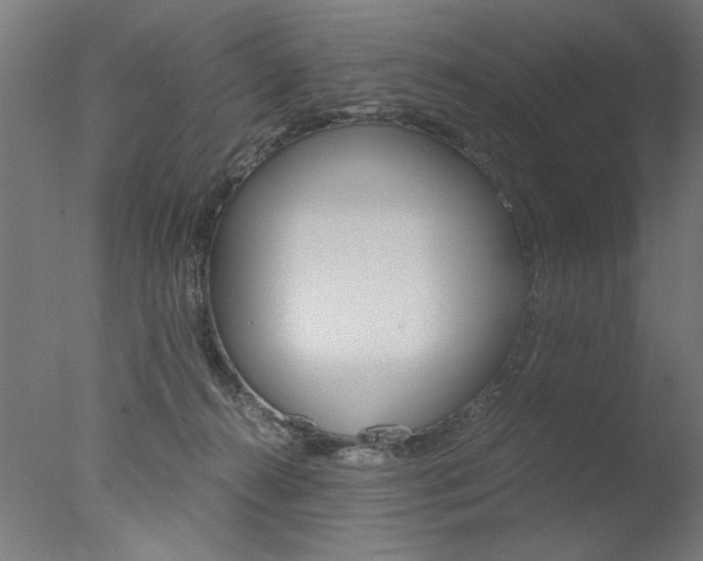 X0000077990272200610270954