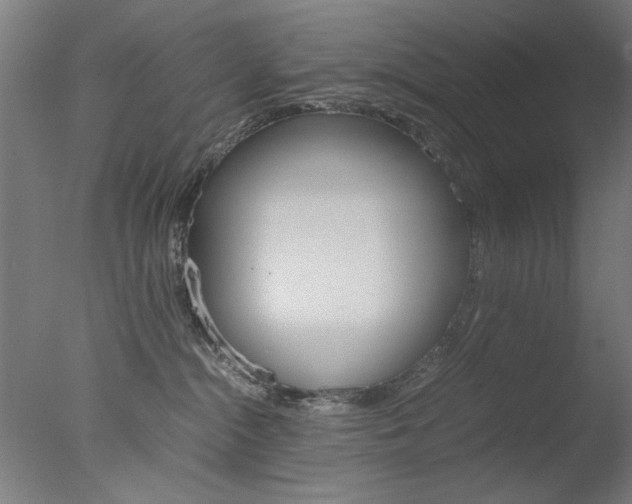 X0000077990284200610270955
