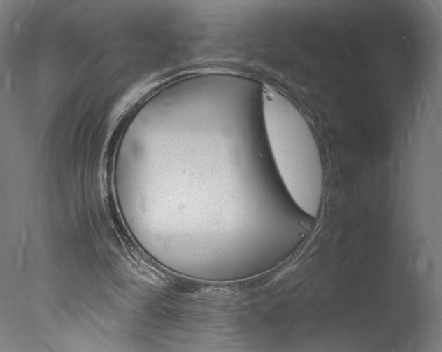 X0000077990294200610270954