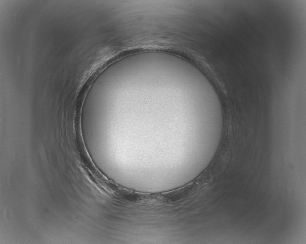 X0000077990299200610270954