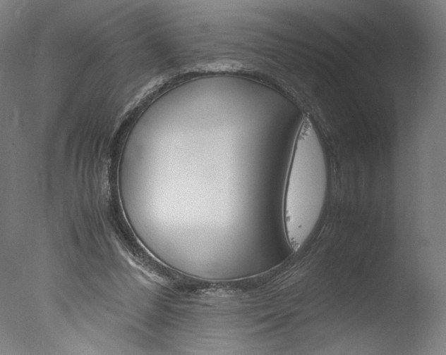 X0000077990300200610270954