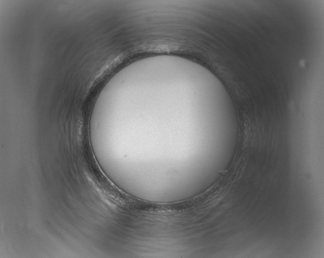 X0000077990304200610270954