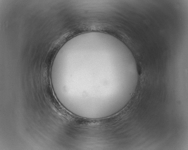 X0000077990306200610270954