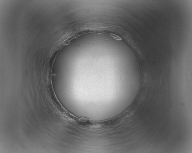 X0000077990309200610270953