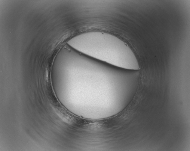 X0000077990310200610270953