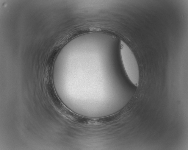 X0000077990311200610270953