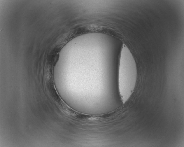 X0000077990323200610270953