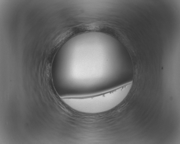 X0000077990325200610270953