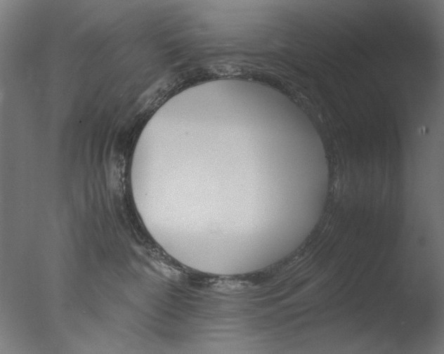 X0000077990332200610270953