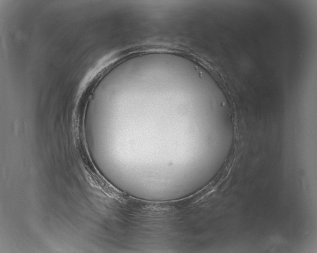 X0000077990343200610270952