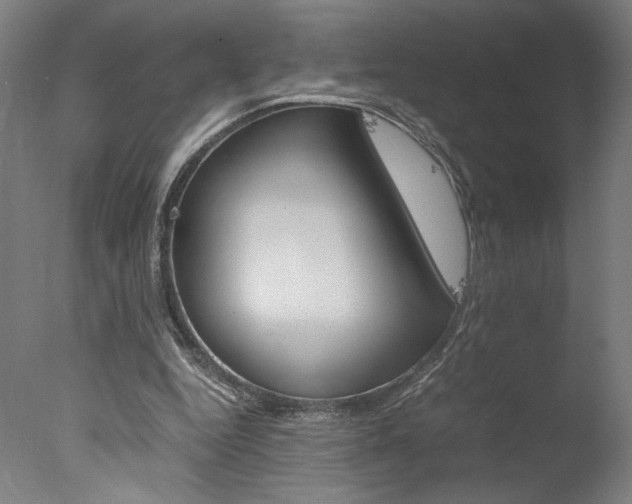 X0000077990344200610270952