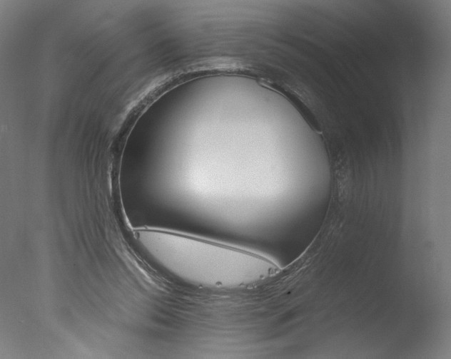 X0000077990350200610270952