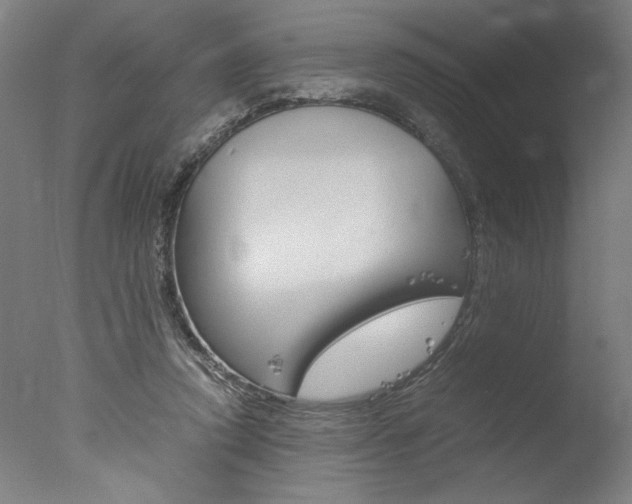 X0000077990354200610270953