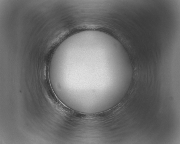 X0000077990358200610270953