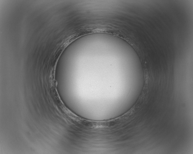 X0000077990360200610270953