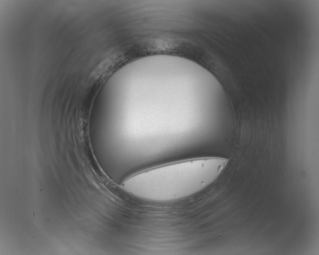 X0000077990366200610270953