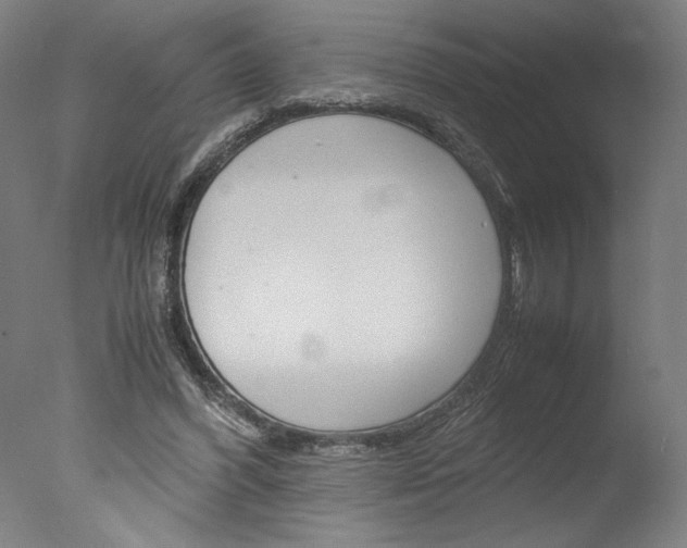 X0000077990396200610270952