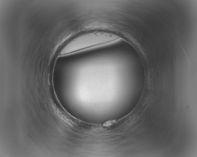 X0000077990399200610270952