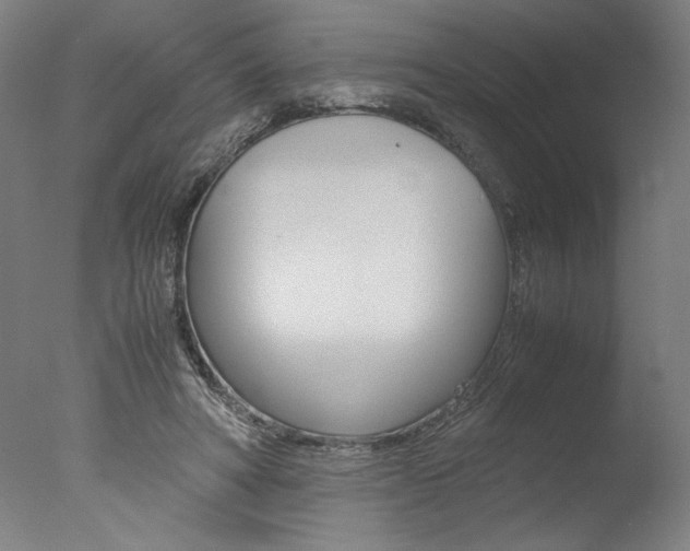 X0000077990402200610270952