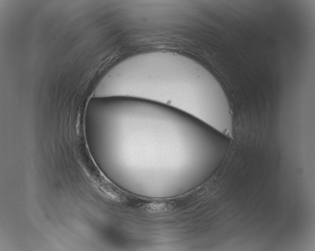 X0000077990406200610270952