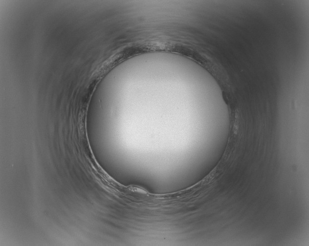 X0000077990409200610270952