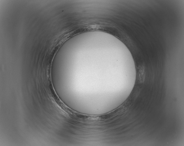 X0000077990410200610270952