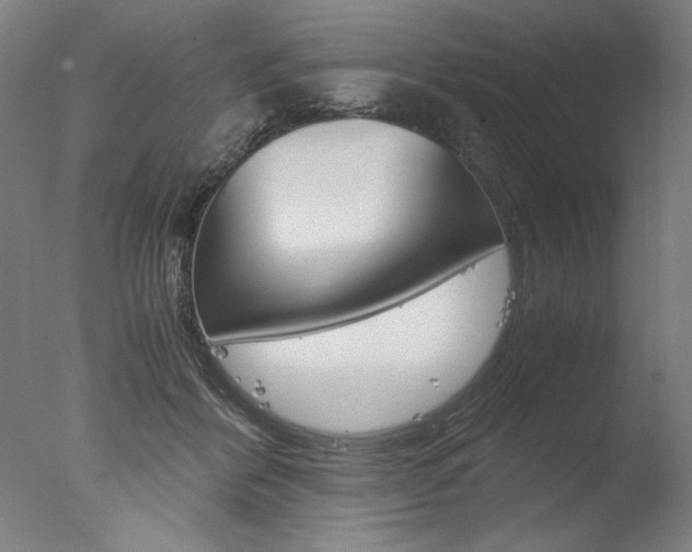 X0000077990412200610270952