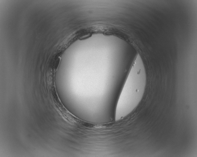X0000077990413200610270952