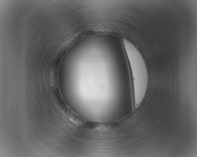 X0000077990416200610270952