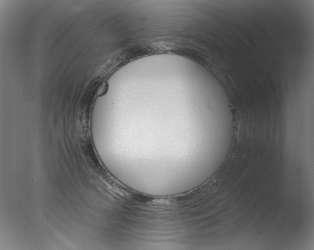 X0000077990418200610270952