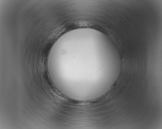 X0000077990422200610270952