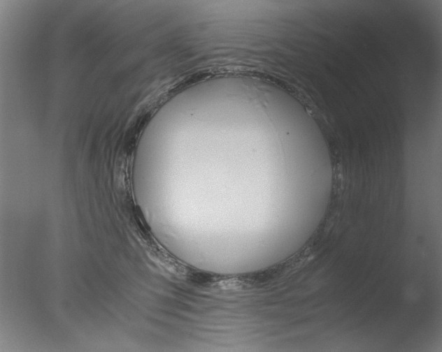 X0000077990423200610270952